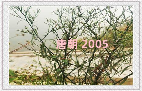 唐朝 2005